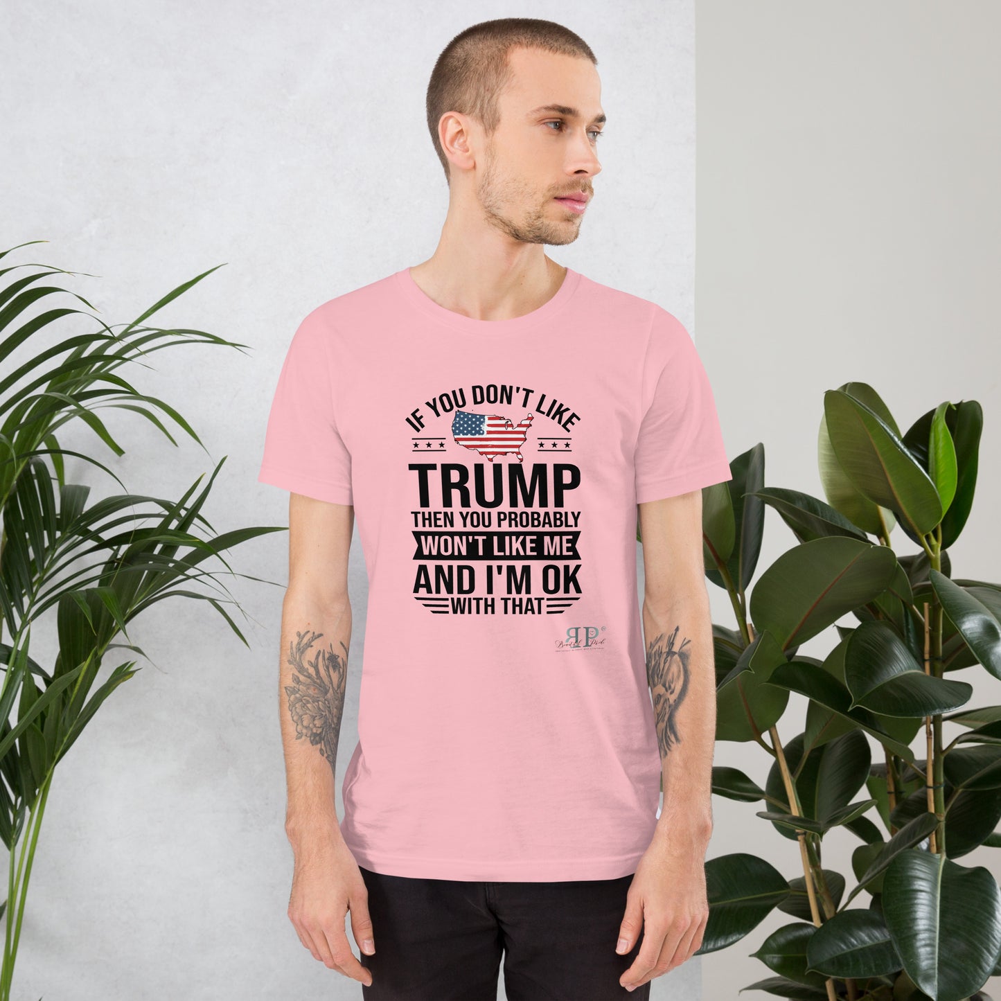 If You Don't Like Trump, You Won't Like Me Unisex t-shirt (black text)