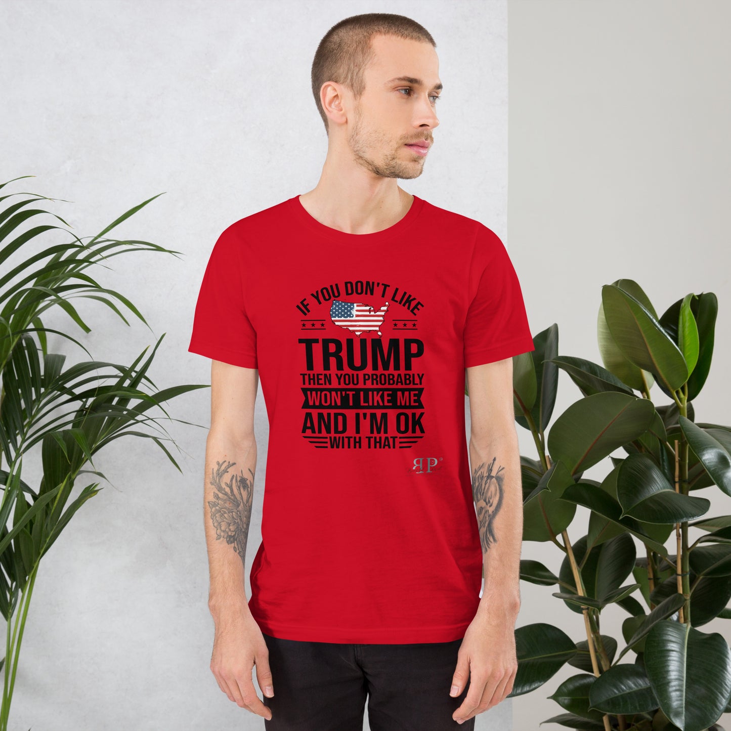 If You Don't Like Trump, You Won't Like Me Unisex t-shirt (black text)