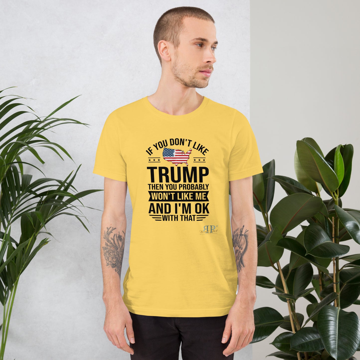 If You Don't Like Trump, You Won't Like Me Unisex t-shirt (black text)